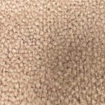 Westminster Mushroom